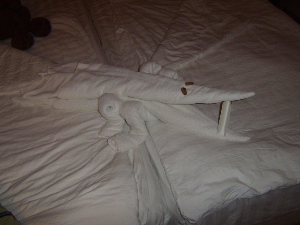 Ein Krokodil im Bett? HVD Clubhotel Miramar