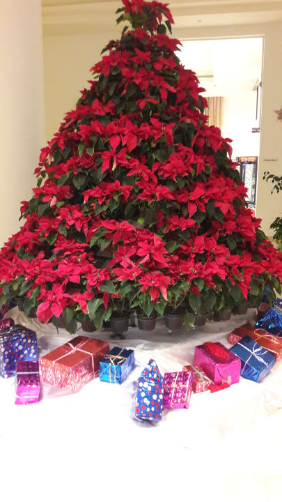 Lobby Cleopatra Luxury Resort Makadi Bay