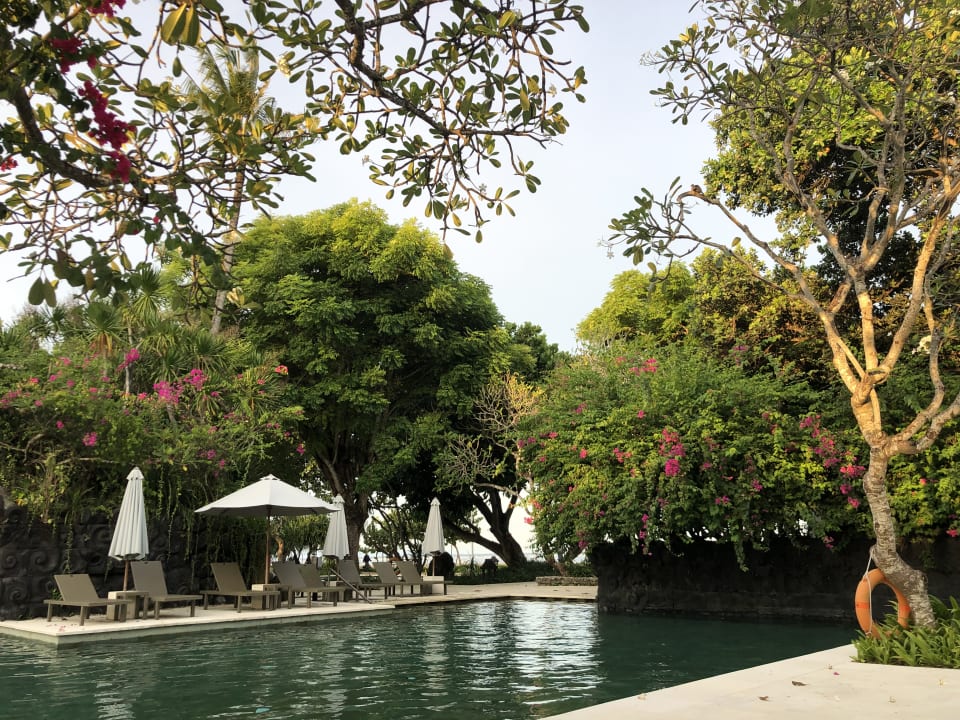 Pool Hyatt Regency Bali