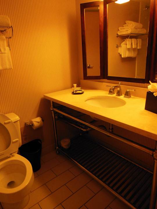 Bad Hotel Sheraton Arlington