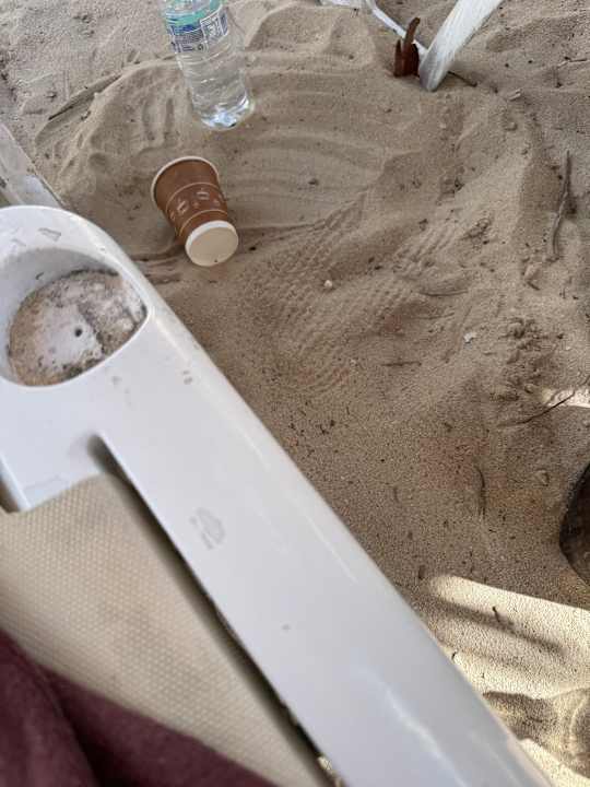 Zimmer Dreams Dominicus La Romana