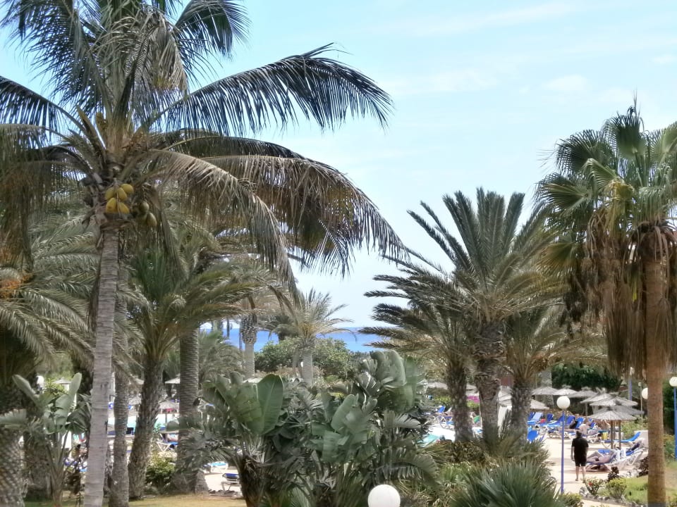 Blick zum Meer SBH Fuerteventura Playa