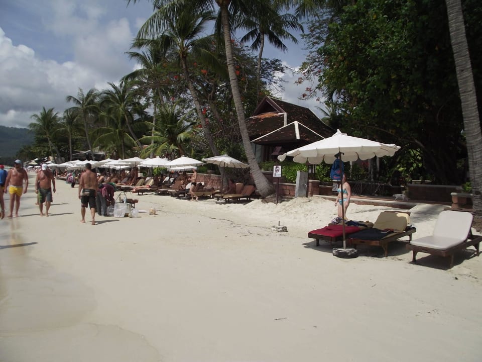  reichlich Liegen und Schirme  Chaweng Regent Beach Resort