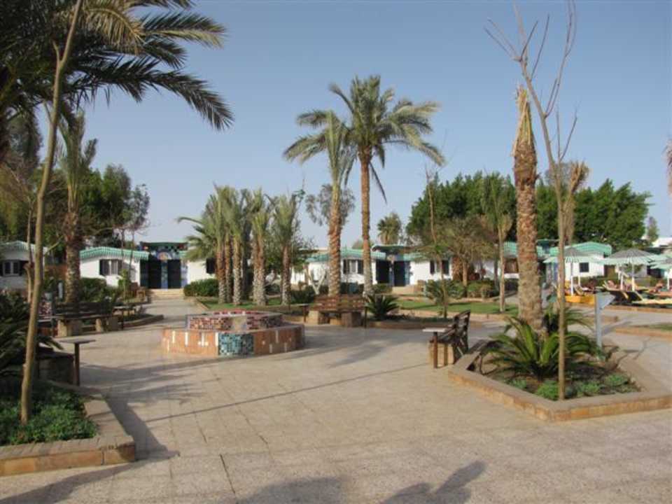 Analge Ghazala Beach