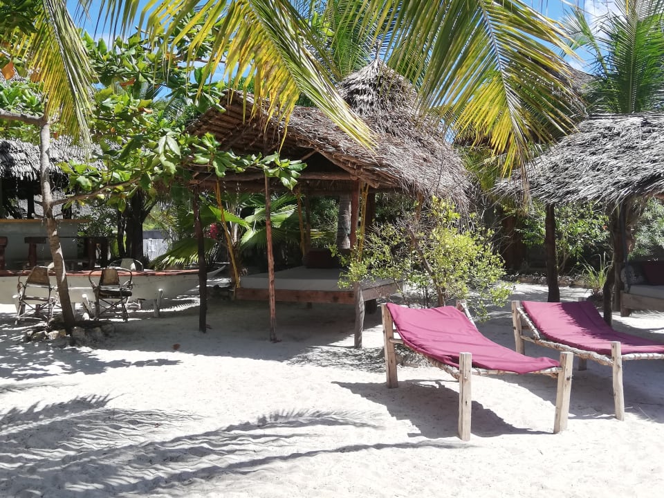 Gartenanlage Summer Dream Lodge