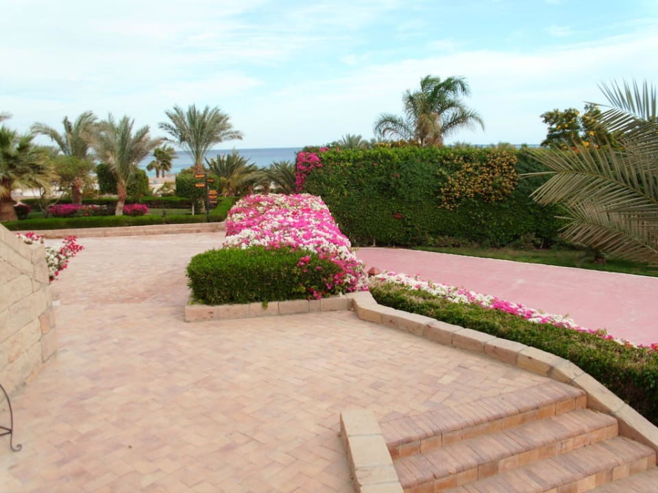 Farbenprächtiger Pflanztrog Fort Arabesque Resort, Spa & Villas