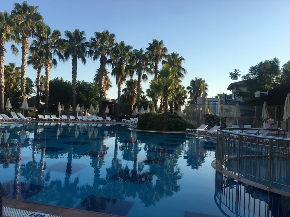 Pool Trendy Palm Beach (Adults Only, 16+)