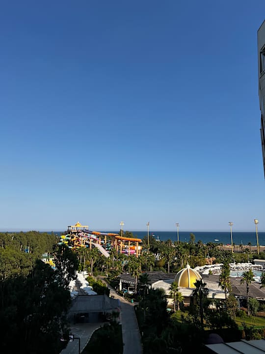 Ausblick Delphin BE Grand