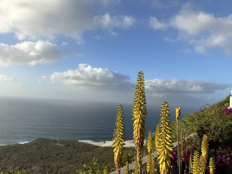 Ausblick Jardin Mariposa Retreat- und Seminarzentrum