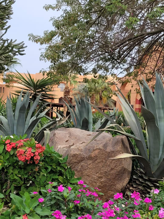 Gartenanlage Jaz Makadi Oasis Resort