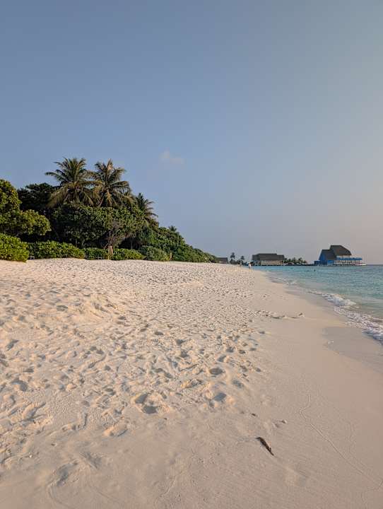 Strand Ifuru Island Maldives