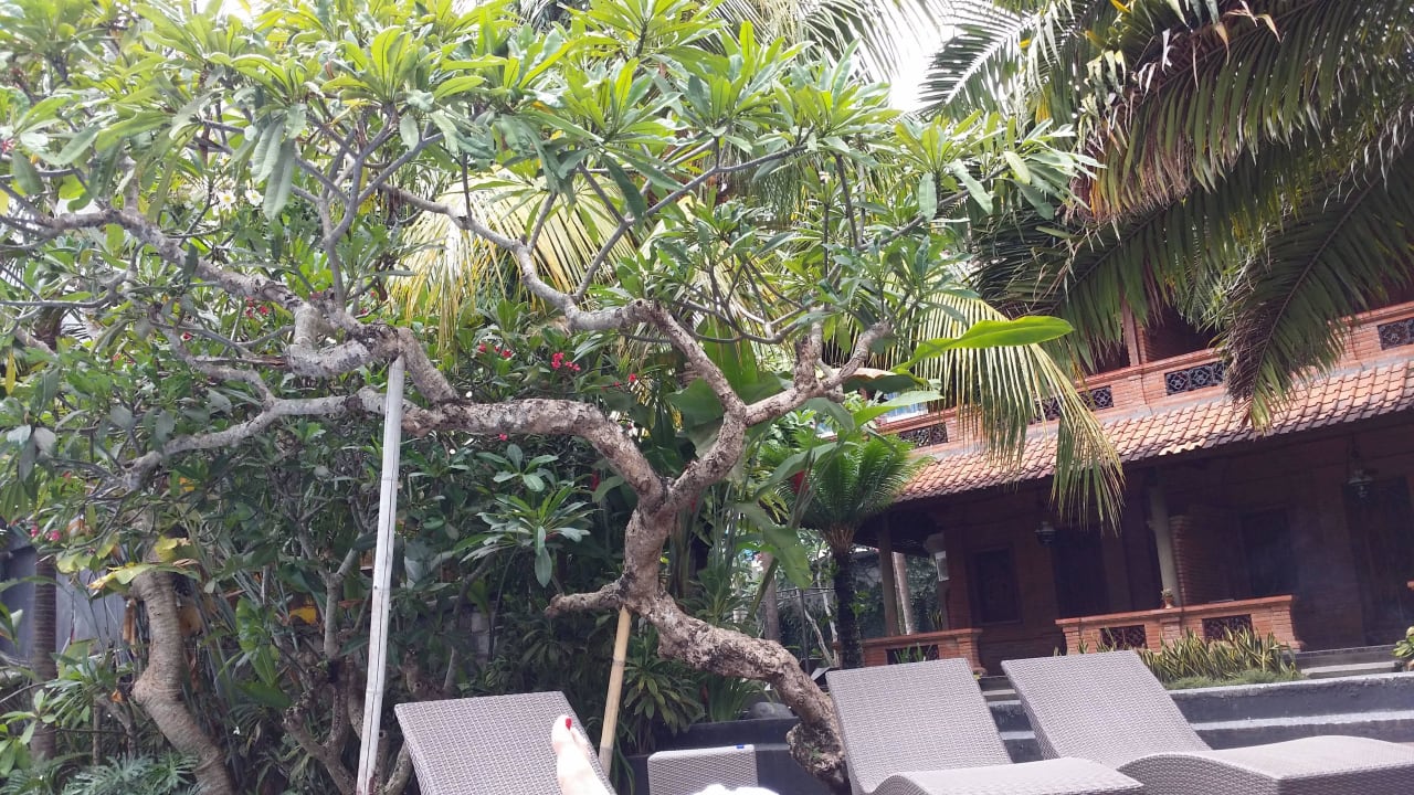 Widok na ogród The Sunti Ubud Resort & Villa