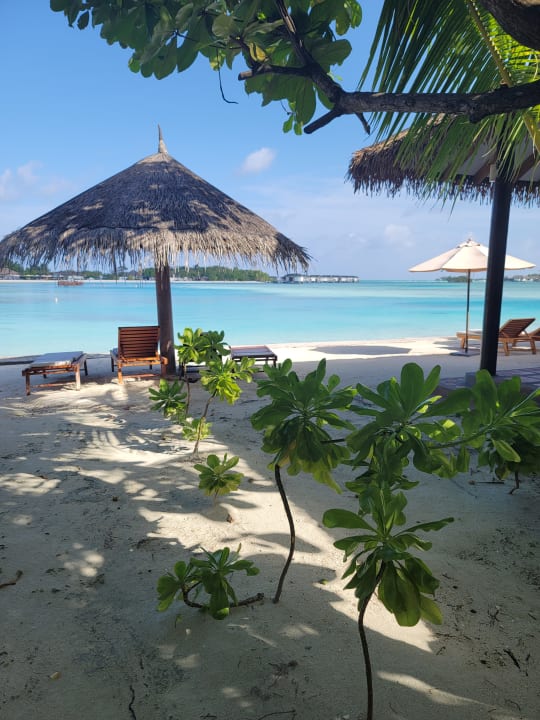 Strand Cinnamon Dhonveli Maldives