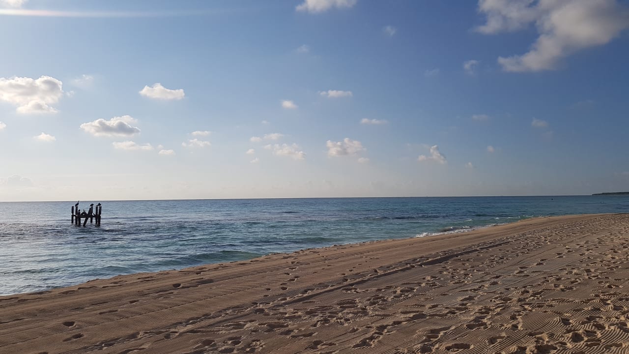 Strand Iberostar Waves Paraiso del Mar