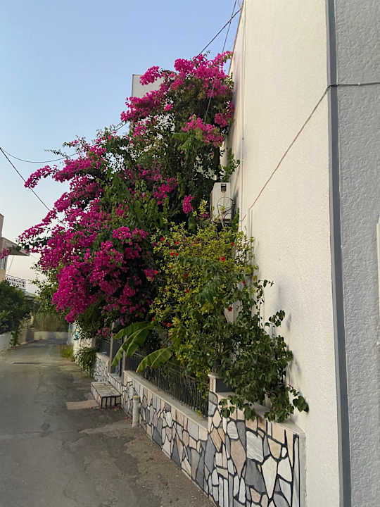 Außenansicht Cozy Archangelos apartments with private parking