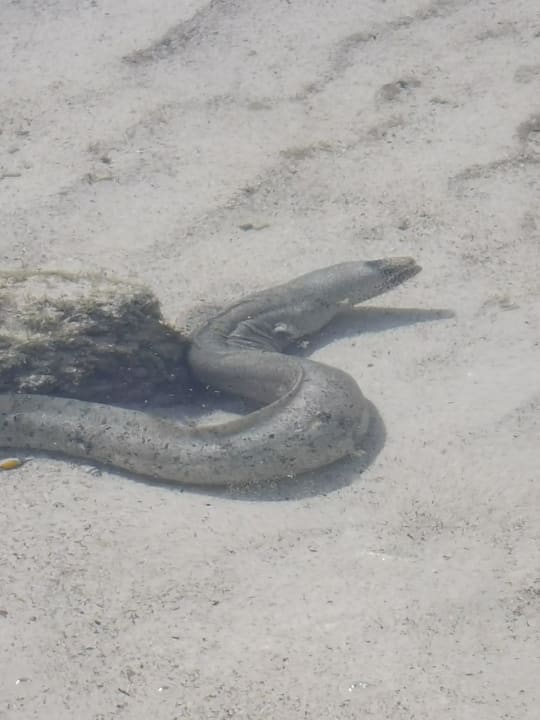 Strand Wyndham Garden Salalah Mirbat