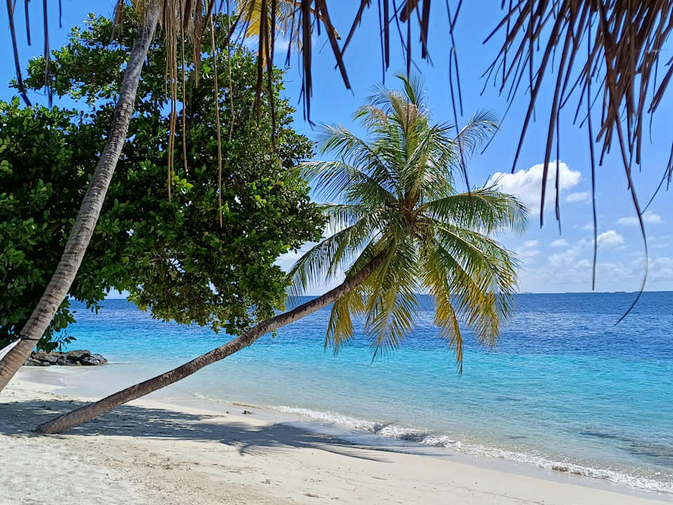 Strand Fihalhohi Maldives