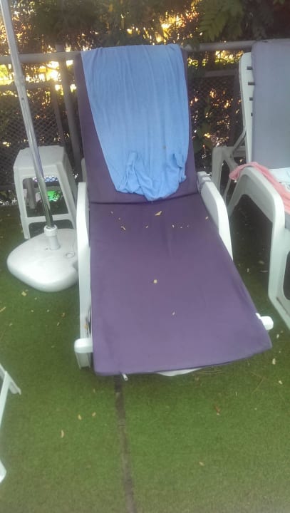 Verdreckt Park Hotel Golden Beach