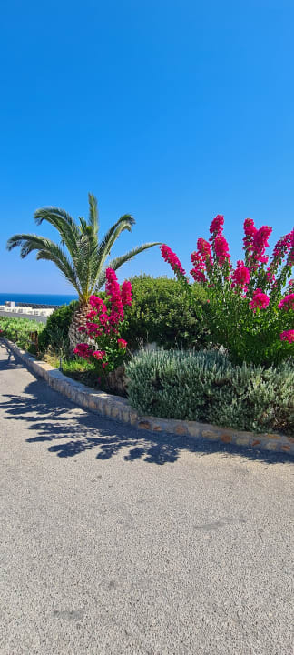 Gartenanlage Hotel Kalithea Horizon Royal