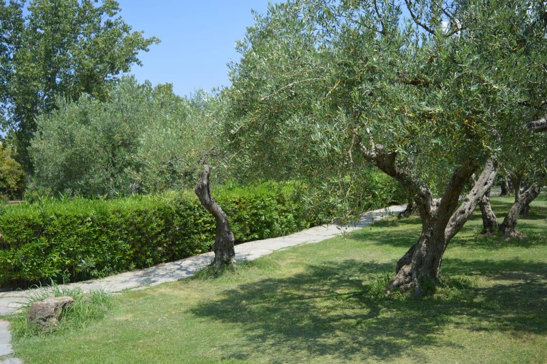 Oliwki Hotel Athos Palace