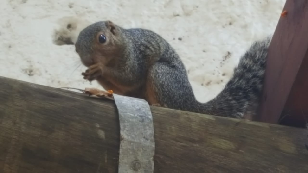 Sonstiges Neptune Village Beach Resort & Spa