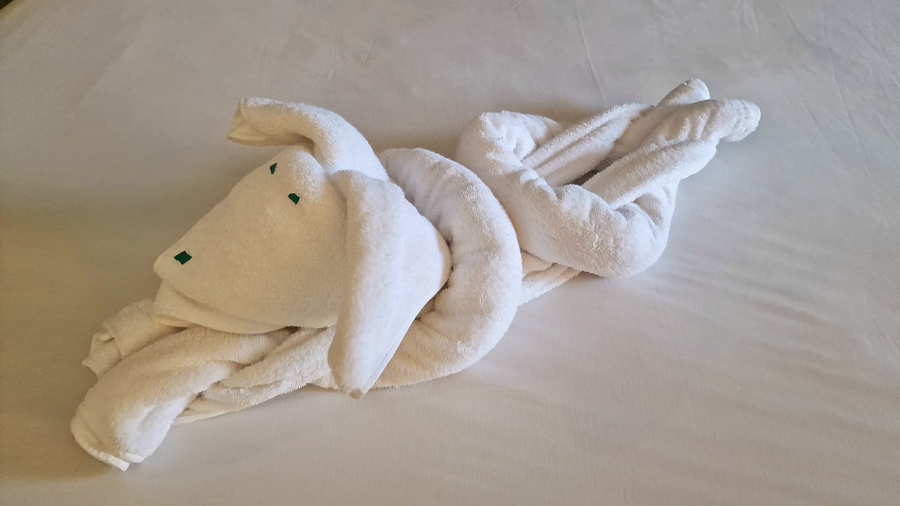 Zimmer JAZ Aquamarine Resort