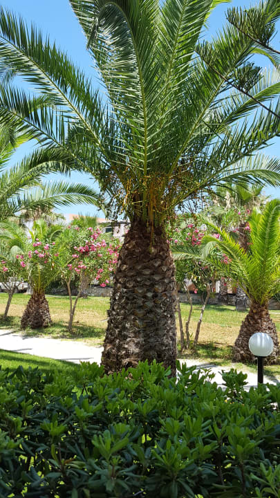 Gartenanlage HARPIN Happy Days Beach Hotel