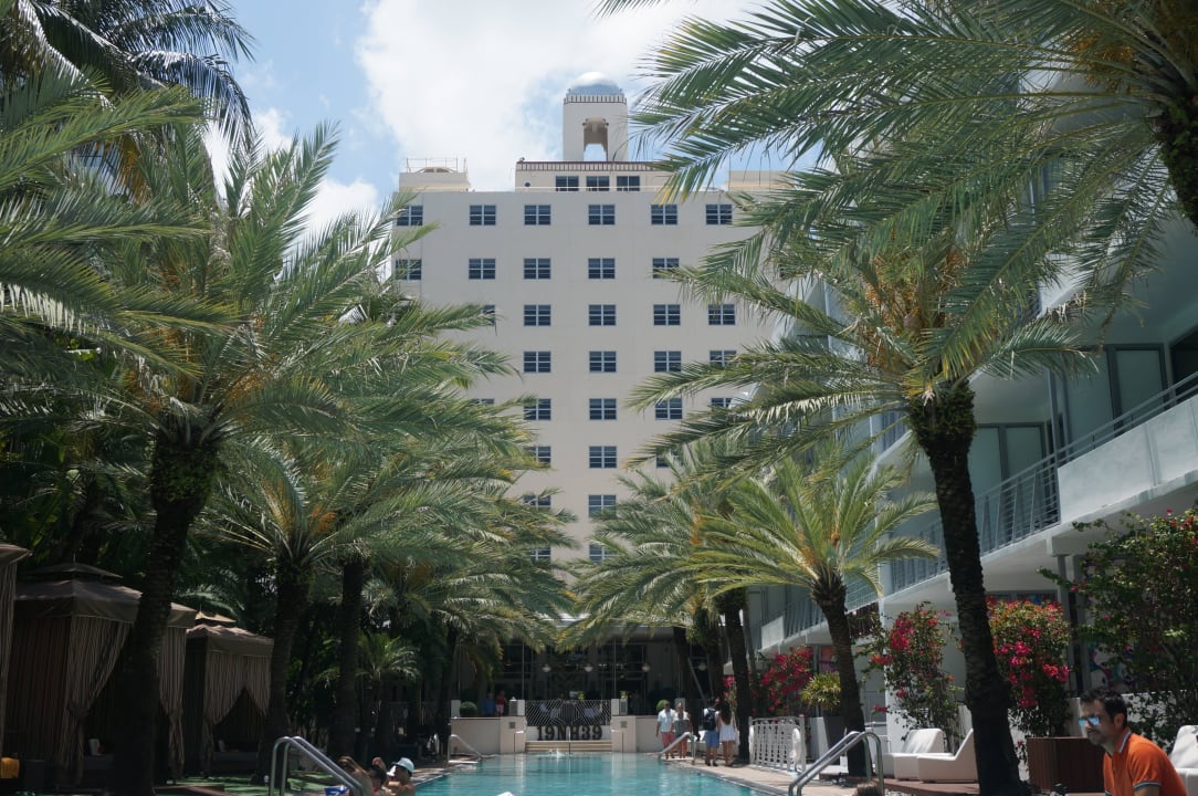 Blick vom Pool Hotel The National