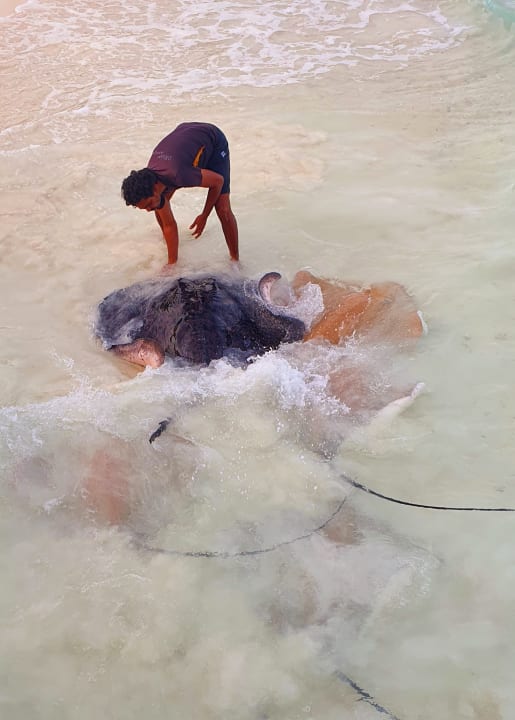 Sonstiges NH Collection Maldives Reethi Resort