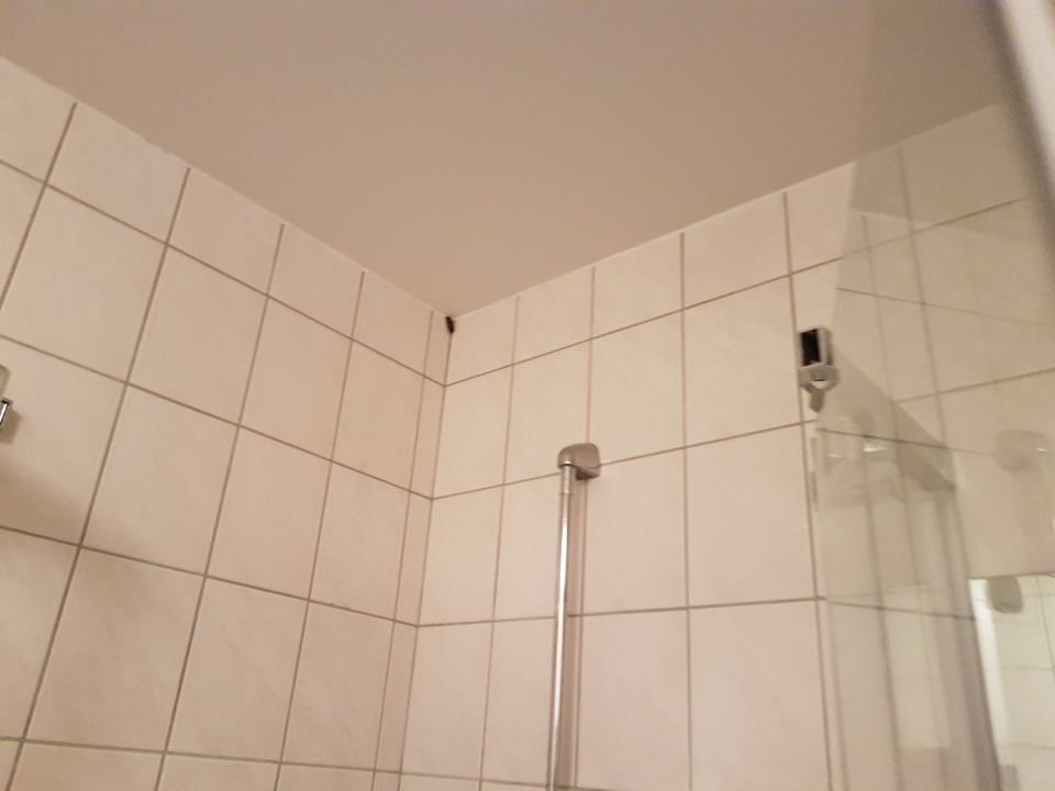 Zimmer Hotel Alexander