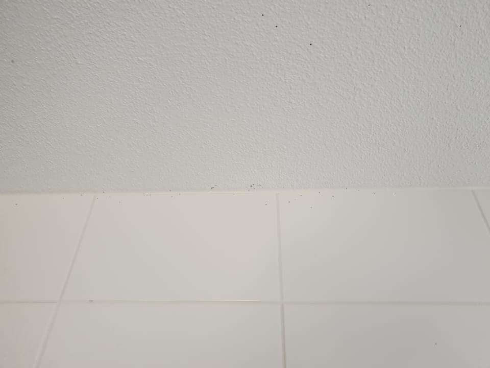 Sonstiges Landal Beach Resort Ooghduyne