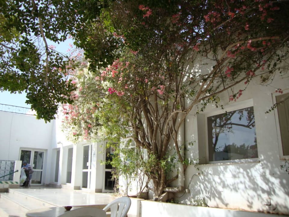 Hotel Sangho Club Zarzis Hotel Sangho Club Zarzis