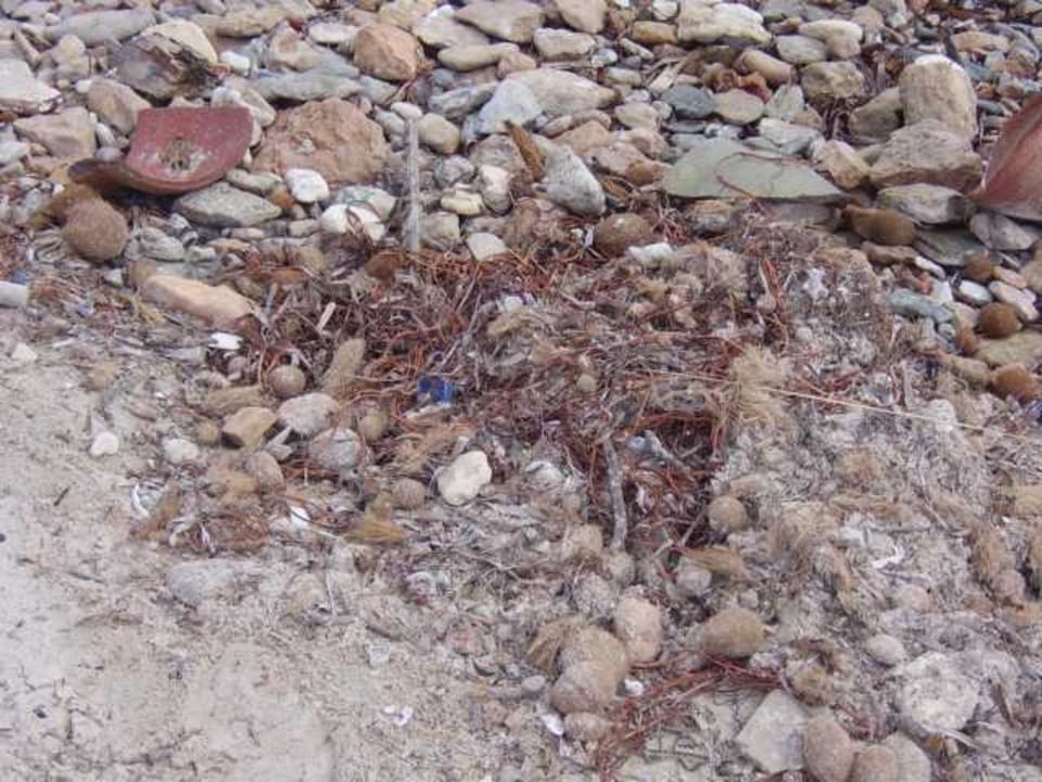 Strandabschnitt Djerba Castille