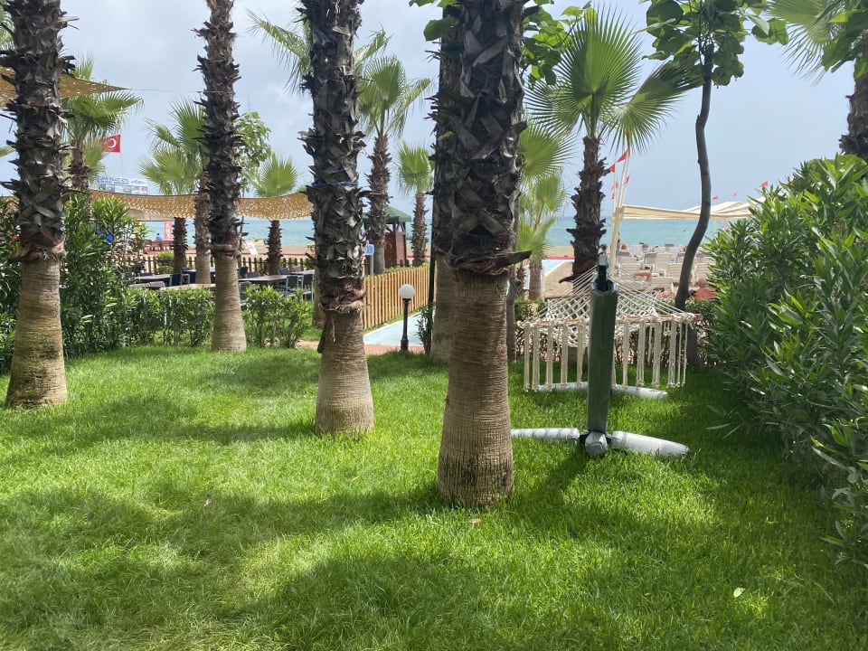 Strand Hotel Delphin Palace