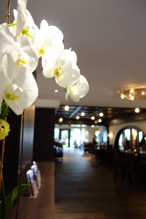 Our new reception Le Mirabeau Resort & Spa