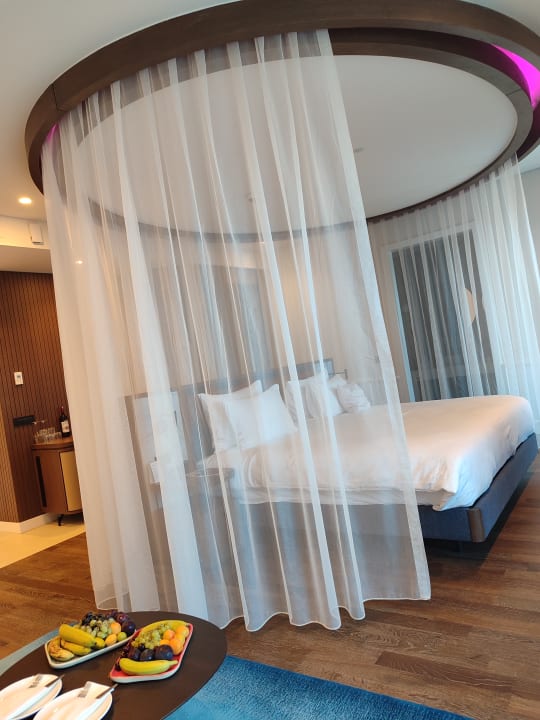 Zimmer Anda Barut Collection