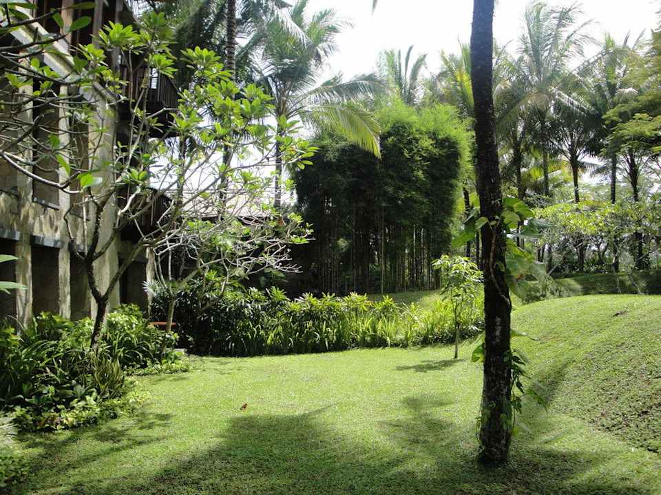 Gartenblick im Haupthaus Maya Ubud Resort & Spa Bali
