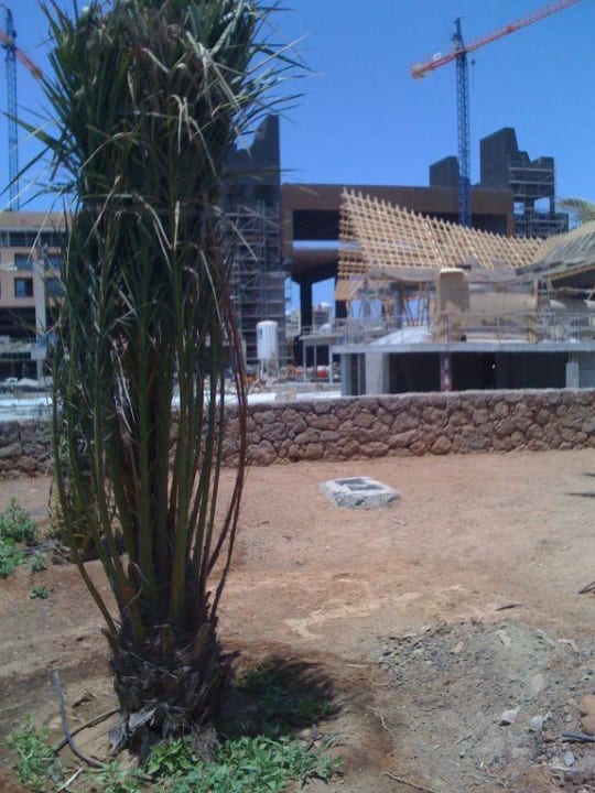 Poolbarbereich Baobab Lopesan Baobab Resort