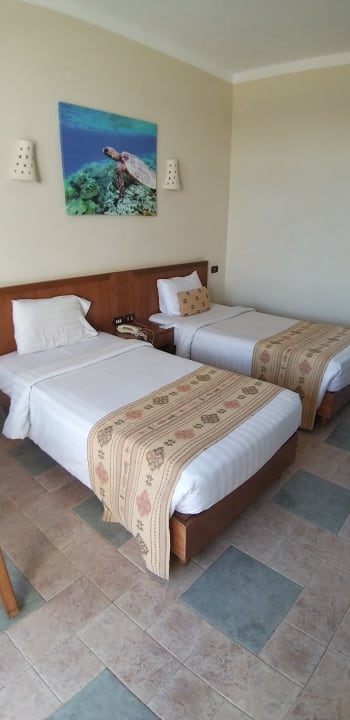 Zimmer Three Corners Equinox Beach Resort