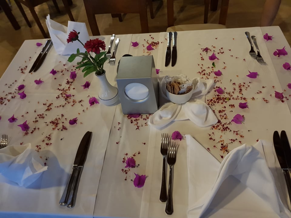 Gastro Monachus Family Resort Sorgun