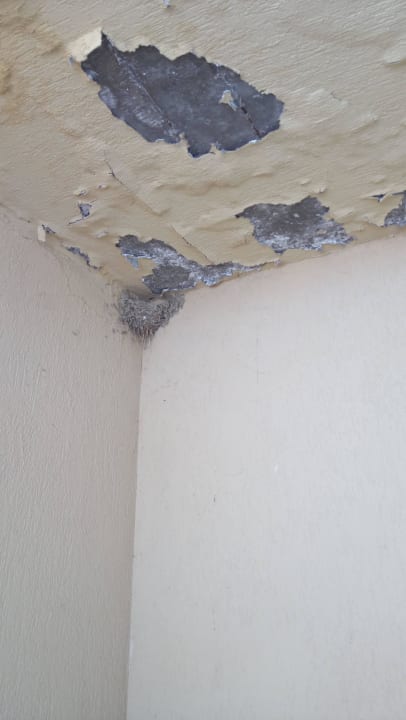 Eingangsbereich am Pool Hotel Atrium Beach