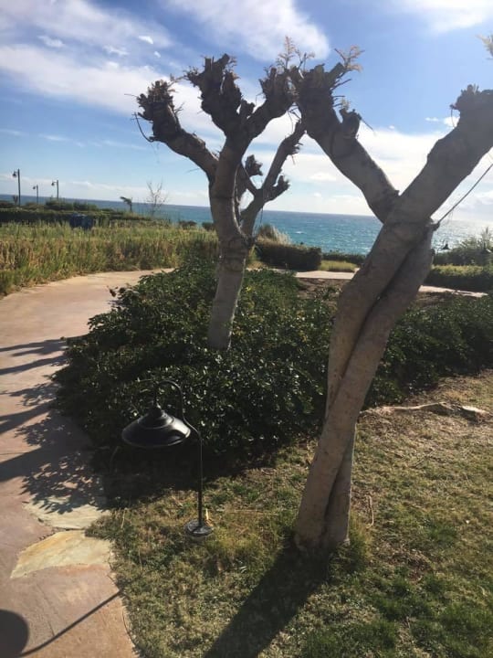 Garten The Marmara Antalya Hotel