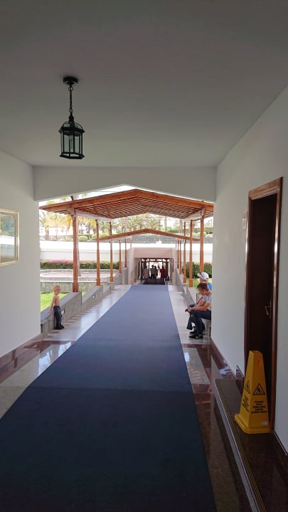 Gastro Relaxia Olivina