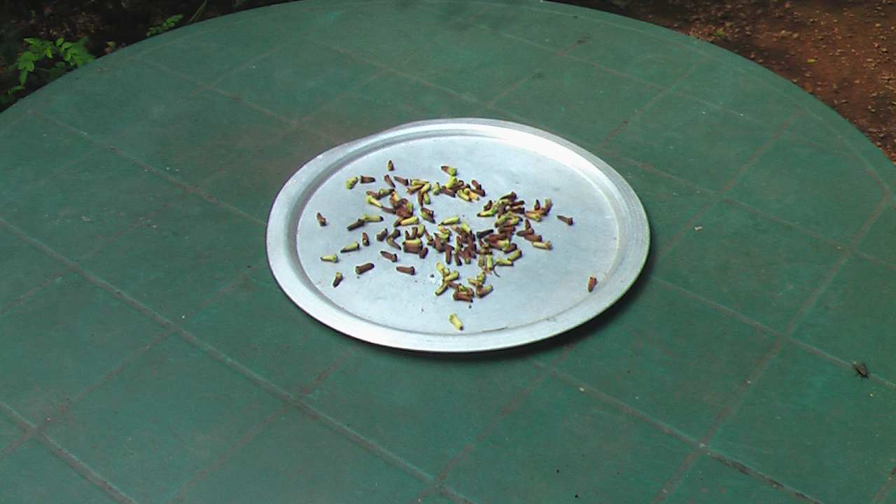 Zimmer Sunshine Guesthouse