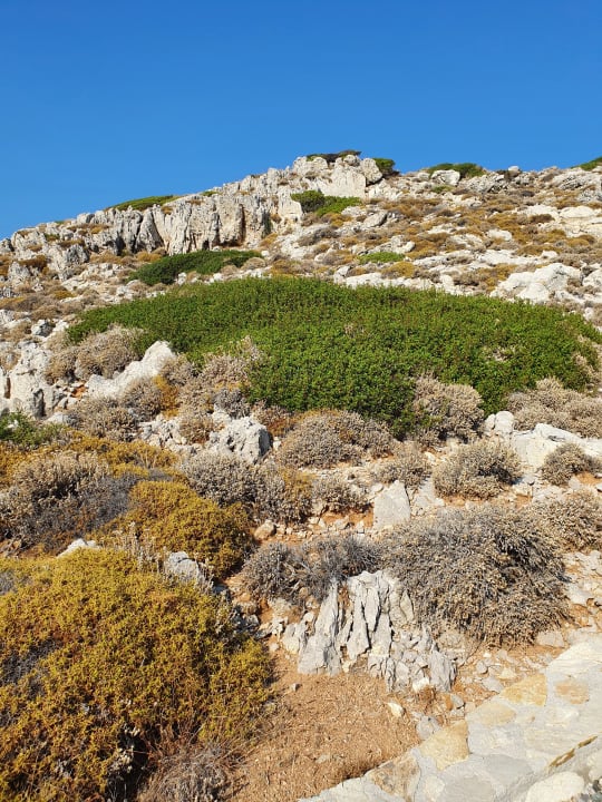 Strand Hotel Kalithea Horizon Royal