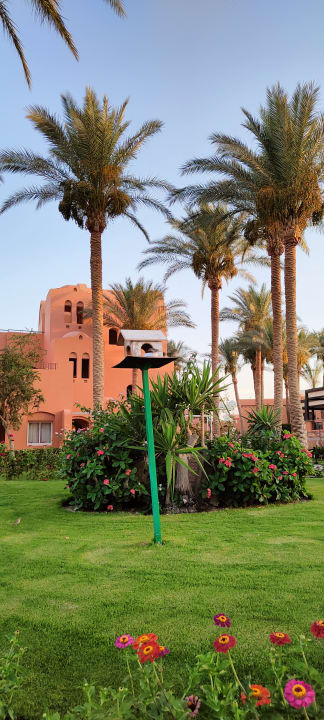 Gartenanlage Jaz Makadi Oasis Resort