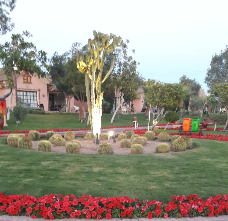 Gartenanlage Pickalbatros Jungle Aqua Park Resort - Neverland Hurghada