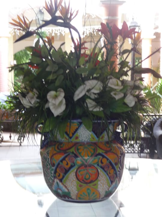 Blumen Hotel Riu Tequila