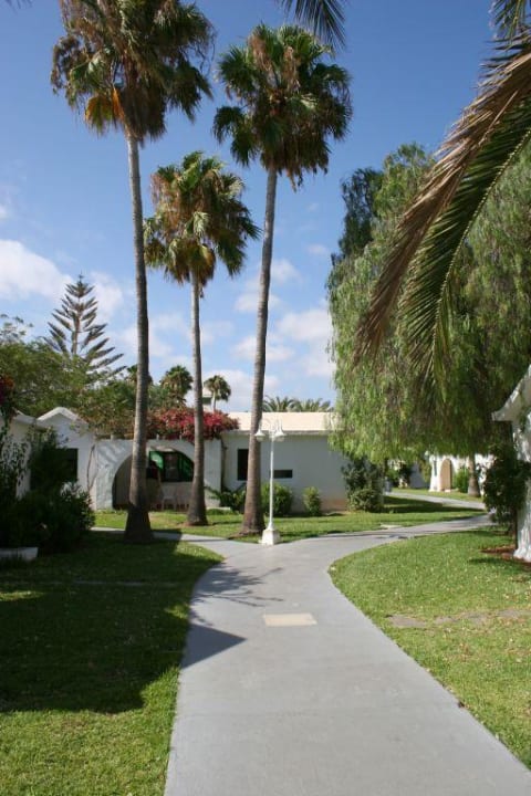 Gartenweg Canary Garden Club