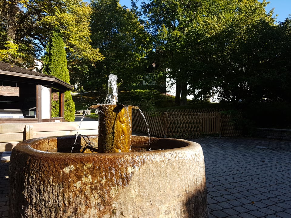 Gartenanlage Dorint Sporthotel Garmisch-Partenkirchen